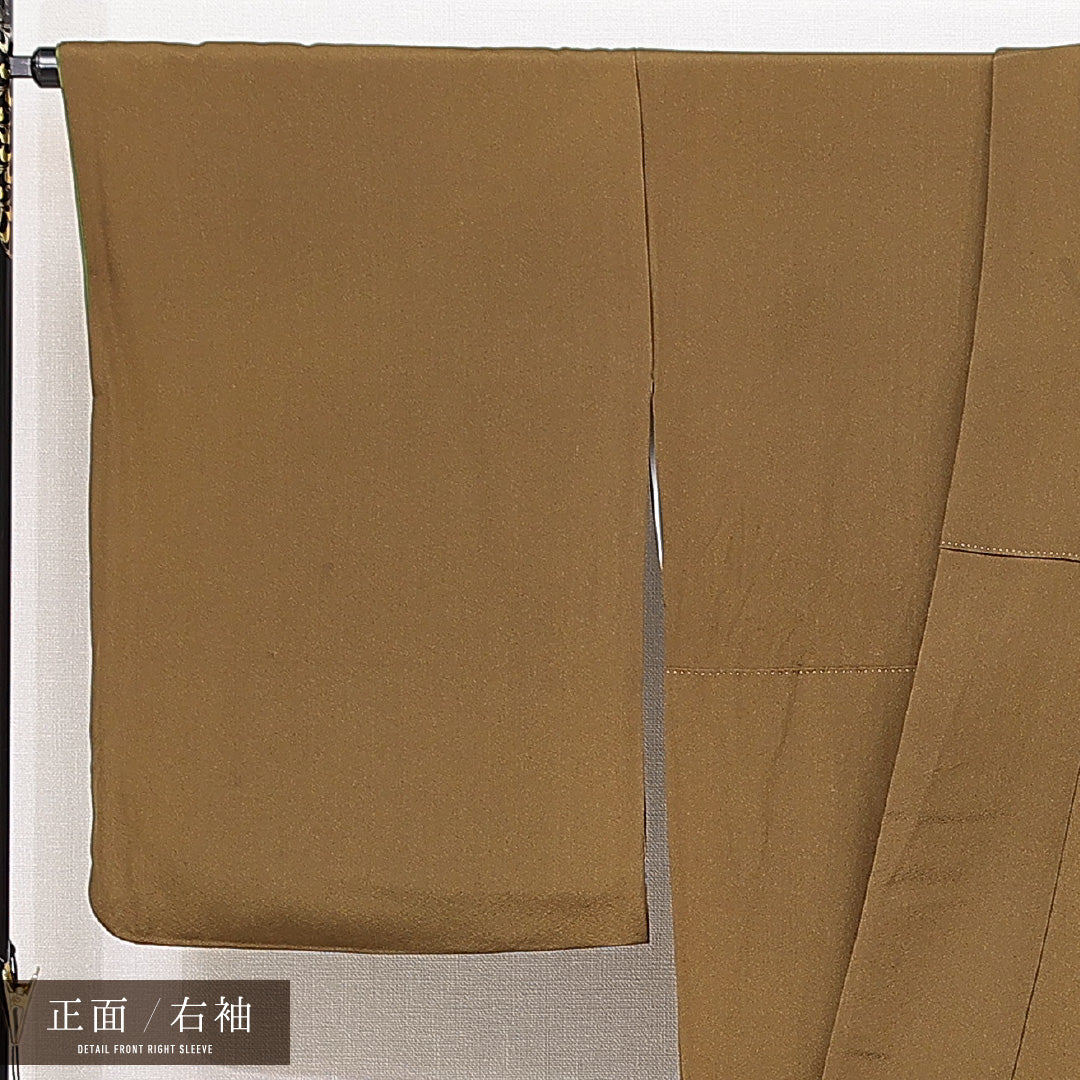 訪問着 袷 身丈169cm 裄丈70cm 正絹 Cランク セミフォーマル 広衿 XLサイズ 金彩 作家物 落款 芍薬 華やか 可愛らしい 茶系 RP 1217-15047