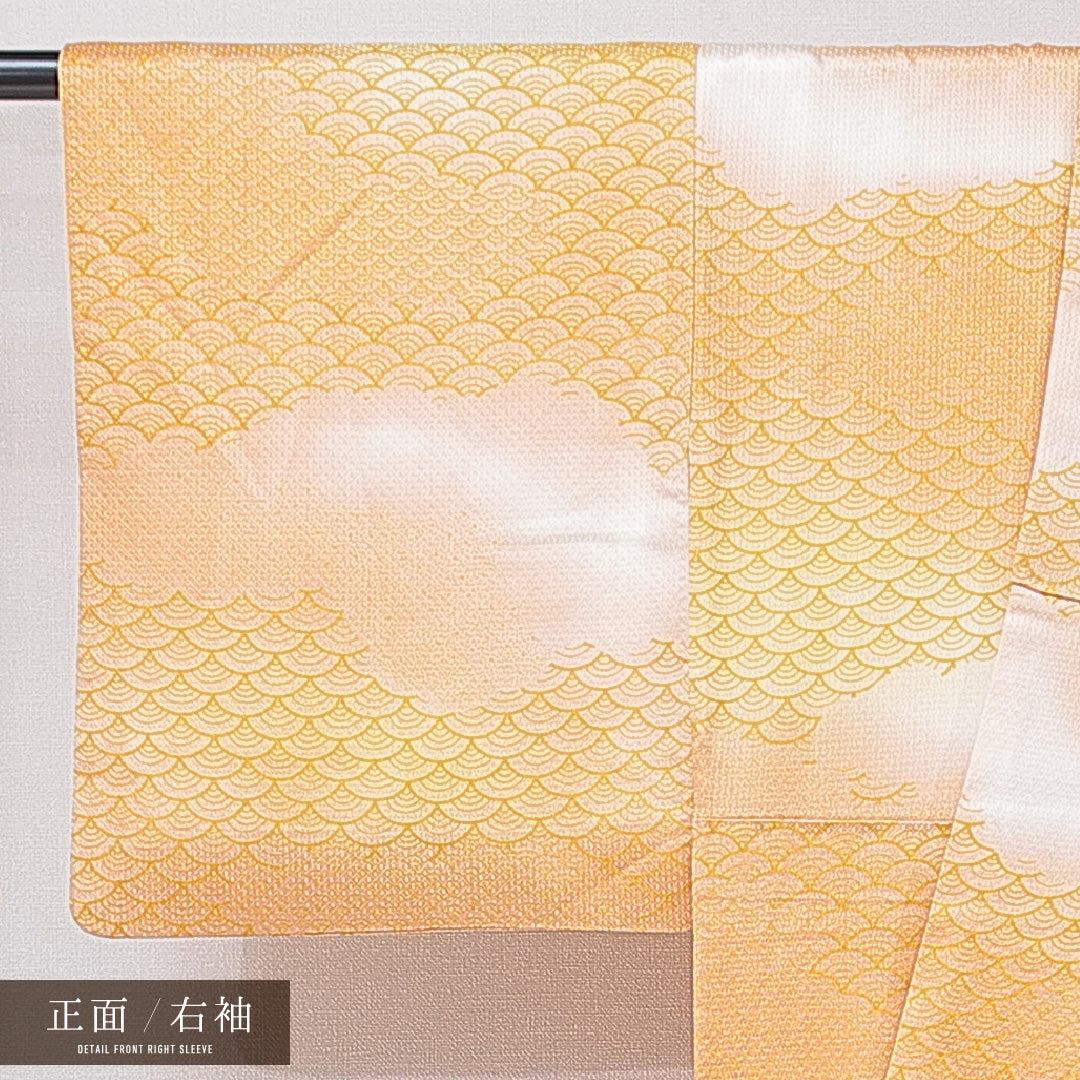 小紋 袷 身丈146cm 裄丈60cm 正絹 Sランク インフォーマル 広衿 XSサイズ 青海波 多色系 RP 1221-15197