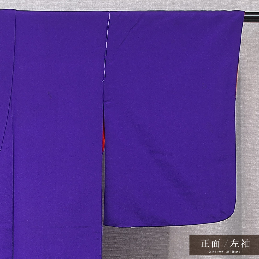 アンティーク 付下げ（お召） 袷 身丈153cm 裄丈63cm 正絹 Aランク Sサイズ 広衿 水玉 紫系 1261-16755