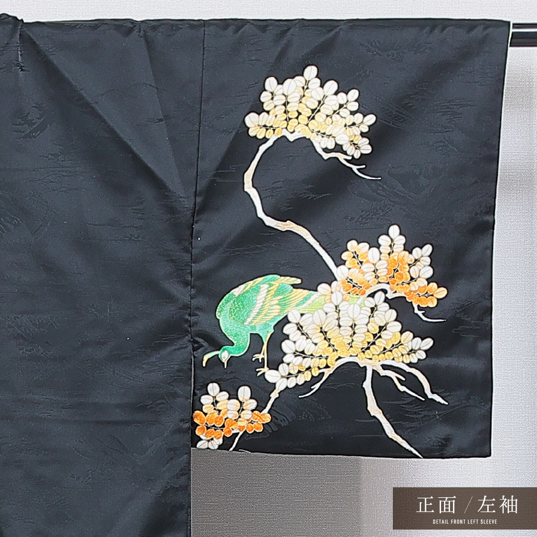 訪問着 洗える着物 袷 身丈164cm 裄丈63cm ポリエステル Sランク Lサイズ バチ衿 セミフォーマル 孔雀 金駒刺繍 黒系 1212-16287