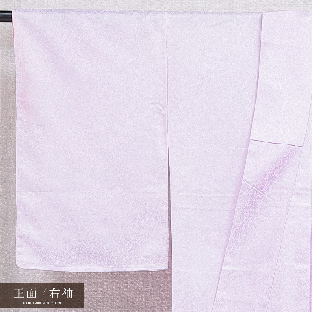 訪問着 洗える着物 袷 身丈164cm 裄丈64cm ポリエステル Aランク Lサイズ 広衿 セミフォーマル 熨斗 牡丹 紫系 1212-16213