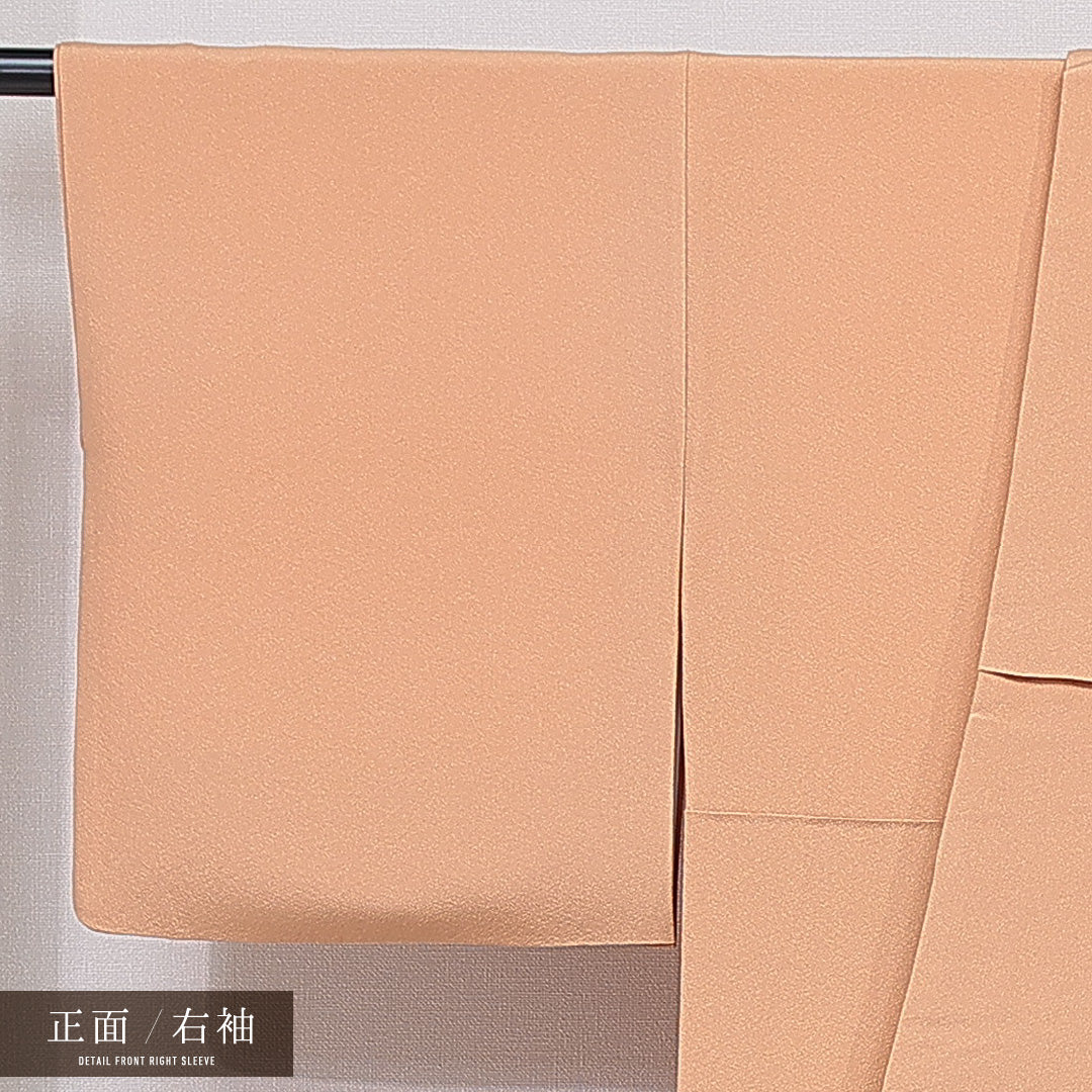 訪問着 身丈155cm 裄丈62cm 正絹 Sランク Mサイズ 広衿 一つ紋（五三桐） セミフォーマル 吉祥文様 刺繍 茶系 1212-15491