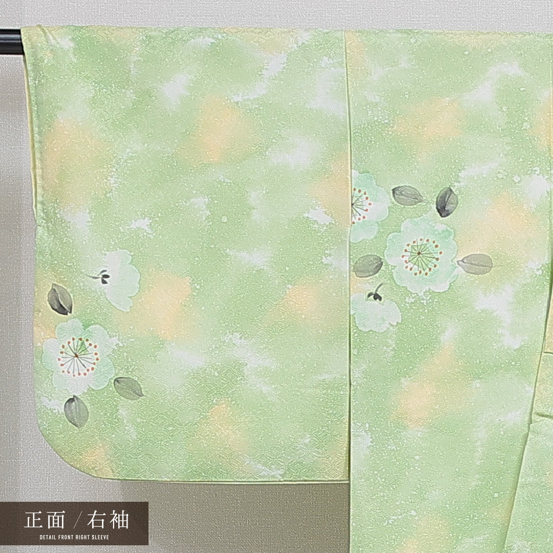 小紋 洗える着物 袷 身丈155cm 裄丈62cm ポリエステル Sランク Mサイズ 広衿 インフォーマル 七宝 桜 緑系 1215-16396