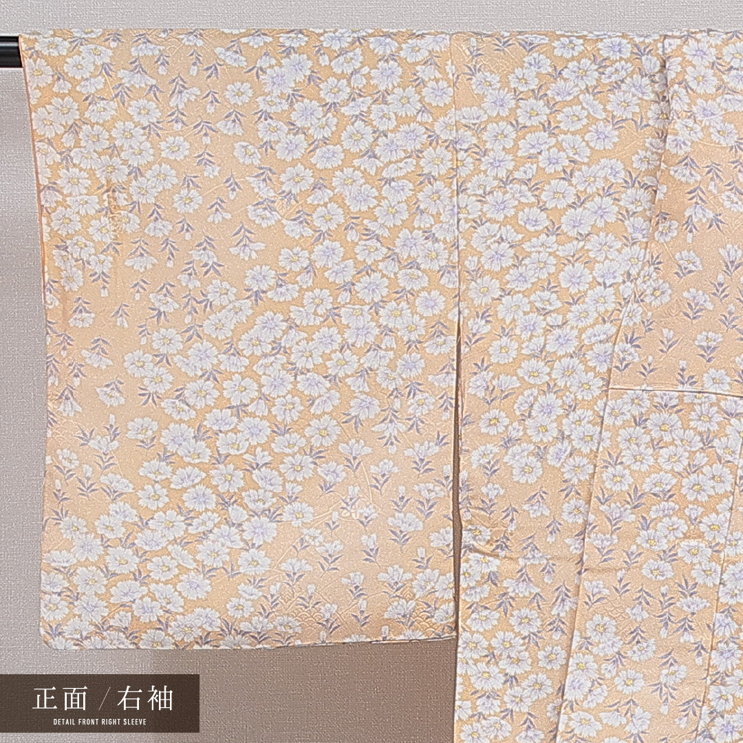 小紋 洗える着物 袷 身丈163cm 裄丈65cm ポリエステル Dランク Lサイズ 広衿 インフォーマル 撫子 クリーム系 朱系 1215-16353