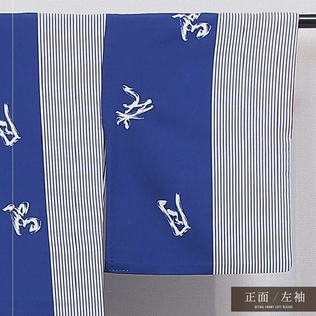 小紋 洗える着物 胴抜き 身丈165cm 裄丈68cm ポリエステル Dランク XLサイズ 広衿 インフォーマル 文字 縞 青系 1215-16322
