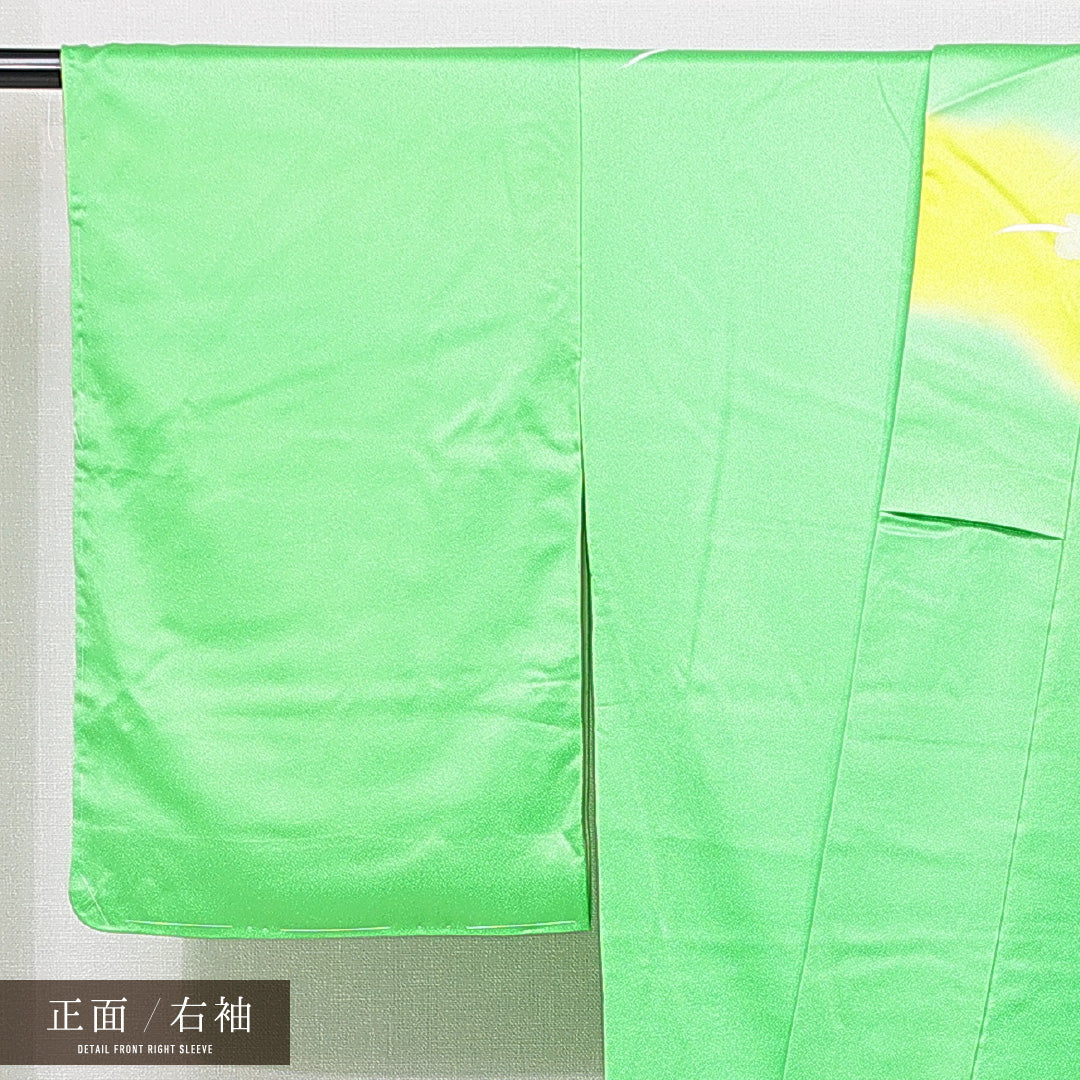 訪問着 袷 身丈167cm 裄丈62cm 正絹 Aランク セミフォーマル 広衿 XLサイズ 尾長鳥 牡丹 緑系 RP 1217-15085