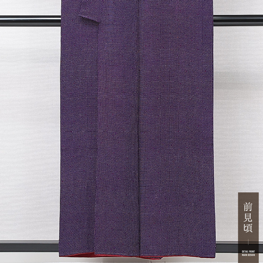 アンティーク 小紋 袷 身丈154cm 裄丈63cm 正絹 Bランク バチ衿 Sサイズ ドット 紺系 RP 1221-15213