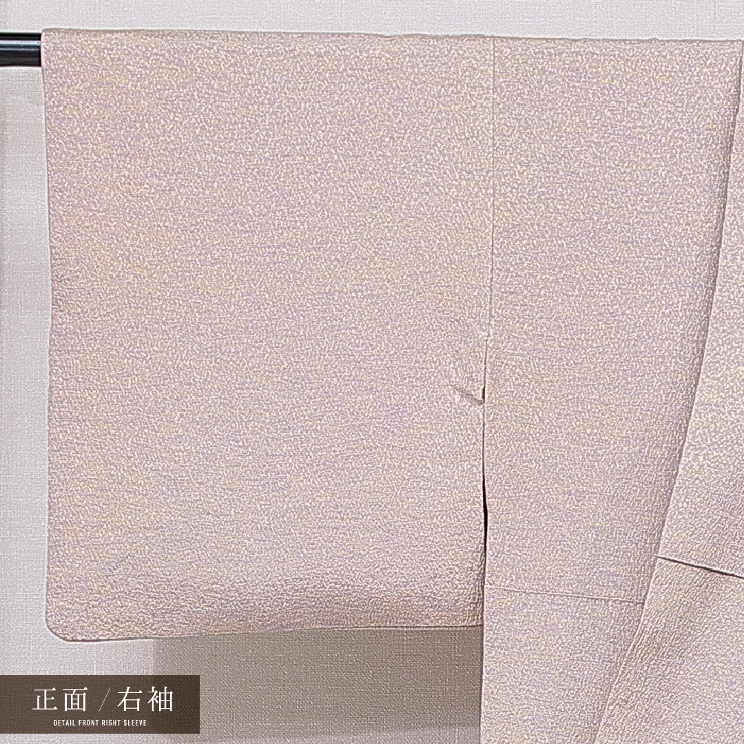 小紋 袷 身丈147cm 裄丈62cm 正絹 Sランク インフォーマル 広衿 XSサイズ 落款 無地 グレー系 RP 1221-15484