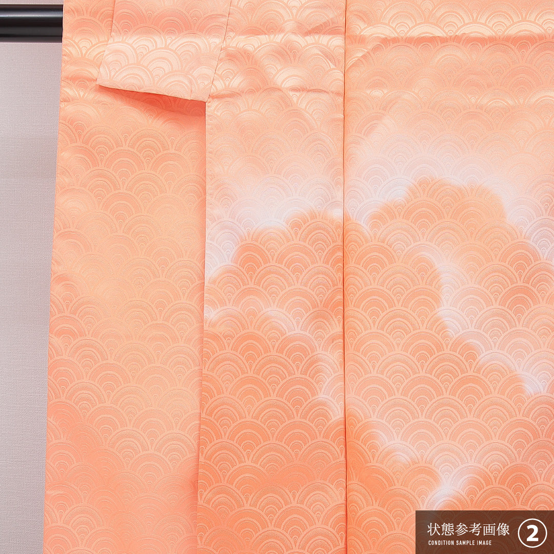 付下げ 洗える着物 袷 身丈162cm 裄丈66cm ポリエステル Bランク Lサイズ 広衿 インフォーマル 紋意匠 青海波 雲取り 朱系 1261-16315