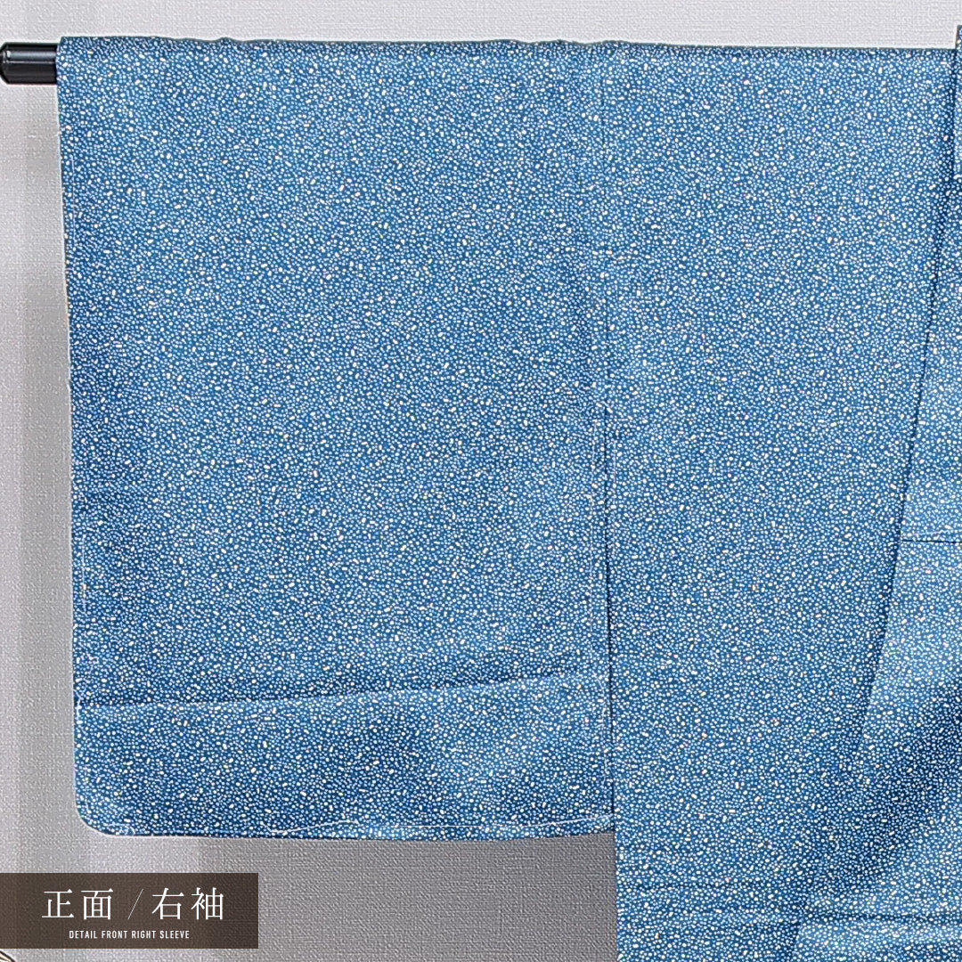 江戸小紋（大小霰） 洗える着物 袷 身丈164cm 裄丈66cm ポリエステル Sランク Lサイズ 広衿 インフォーマル 青系 1262-16278