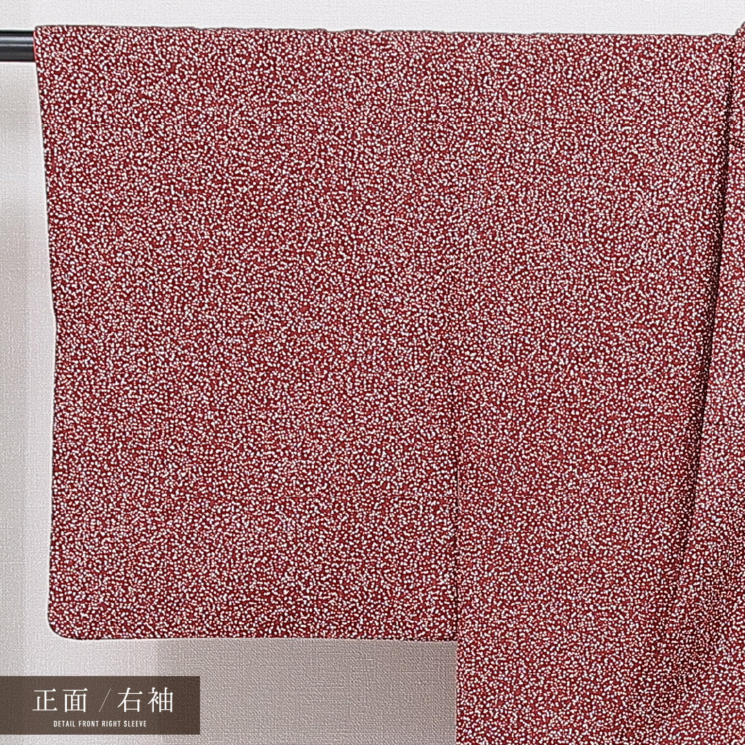 洗える着物 付下げ 袷 身丈164cm 裄丈64cm ポリエステル Sランク インフォーマル 広衿 Lサイズ 青海波 赤系 RP 1218-16247