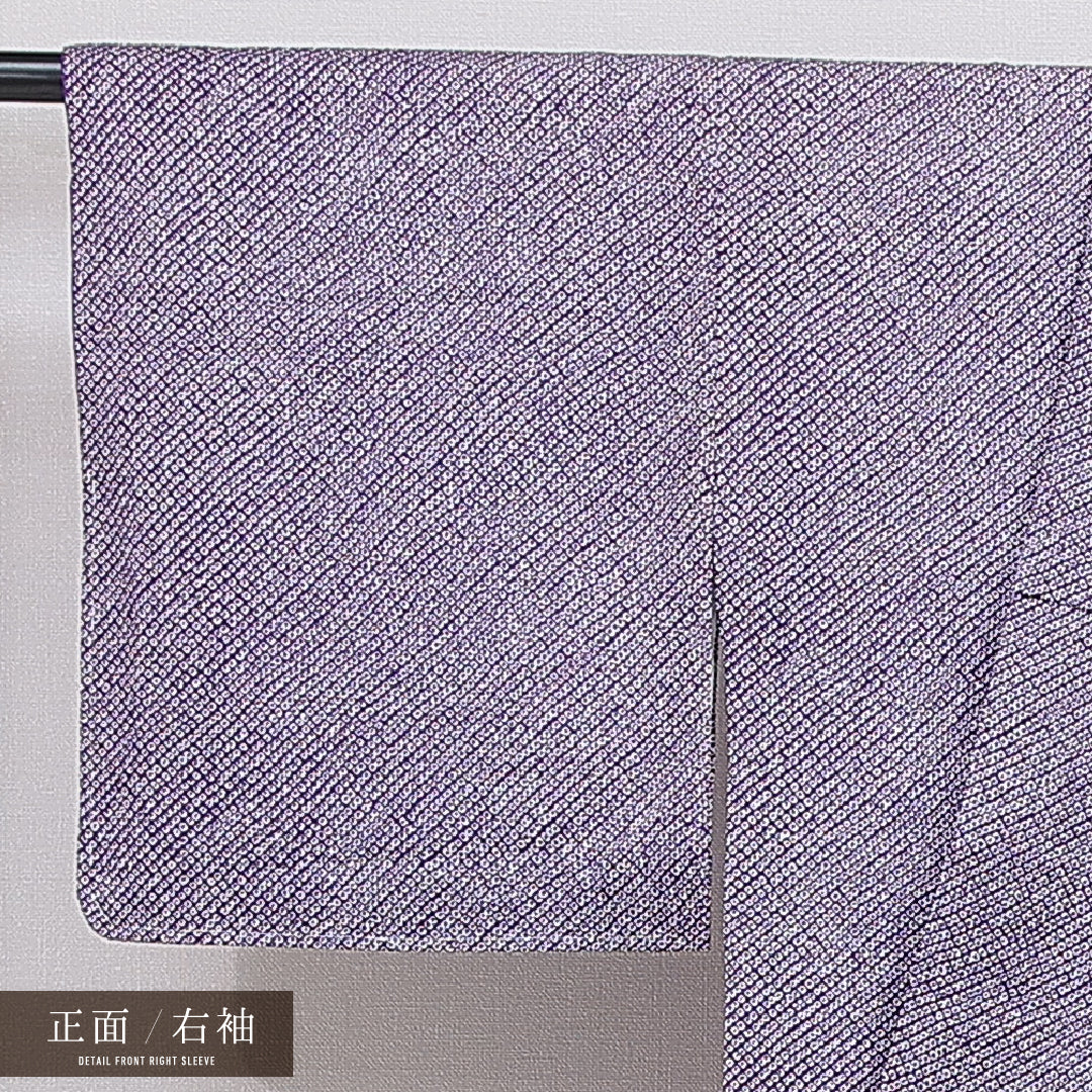 洗える着物 小紋 袷 身丈153cm 裄丈62cm ポリエステル Sランク インフォーマル 広衿 Sサイズ 鹿の子柄 紫系 RP 1221-15988
