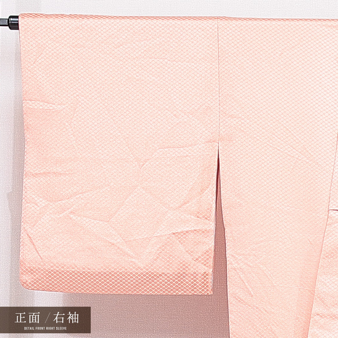 付下げ 袷 身丈169cm 裄丈67cm 正絹 Sランク インフォーマル 広衿 XLサイズ 蘇州刺繍 扇 菊 朱系 RP 1218-15541