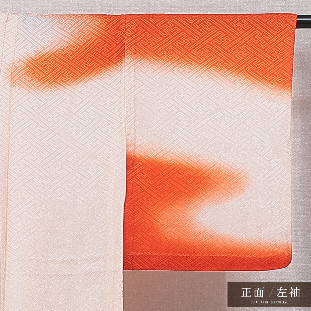 訪問着 洗える着物 単衣 身丈163cm 裄丈63cm ポリエステル Aランク Lサイズ バチ衿 セミフォーマル 紋意匠 紗綾形 流水 ピンク系 1212-15674