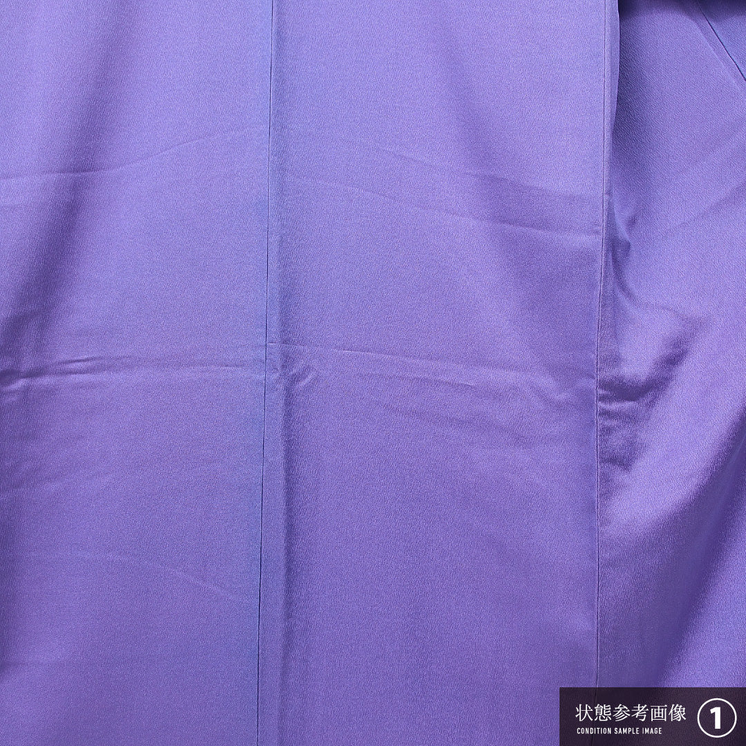 訪問着 袷 身丈168cm 裄丈66cm 正絹 Bランク セミフォーマル 広衿 XLサイズ 牡丹 紫系 RP 1217-15086