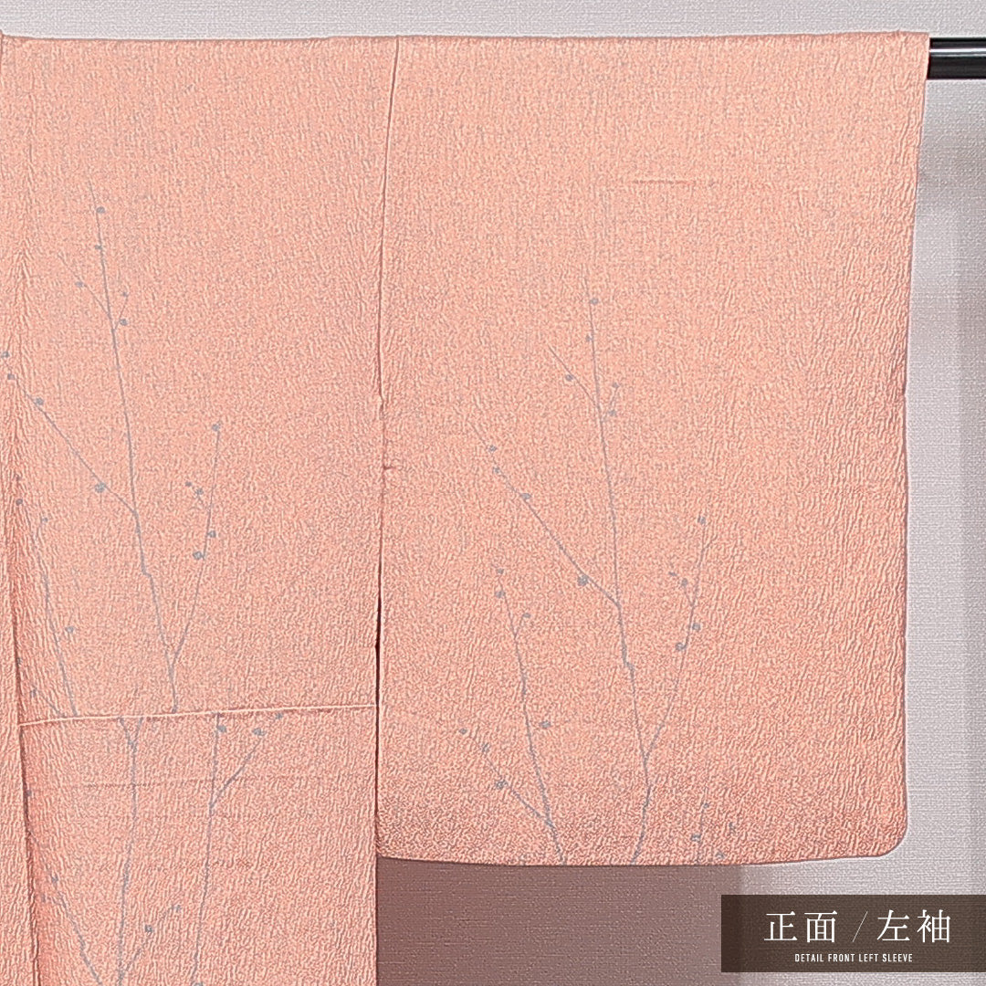 付下げ 袷 身丈162cm 裄丈64cm 正絹 Sランク インフォーマル 広衿 Lサイズ ふくれ織 植物柄 朱系 RP 1218-15360