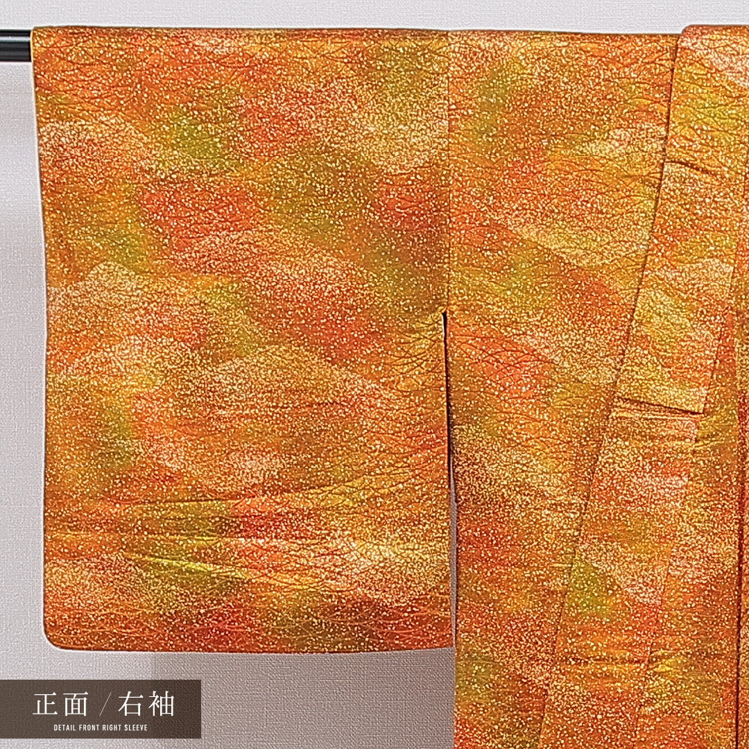 洗える着物 小紋 袷 身丈150cm 裄丈62cm ポリエステル Sランク インフォーマル バチ衿 Sサイズ 芝草 朱系 RP 1221-16221