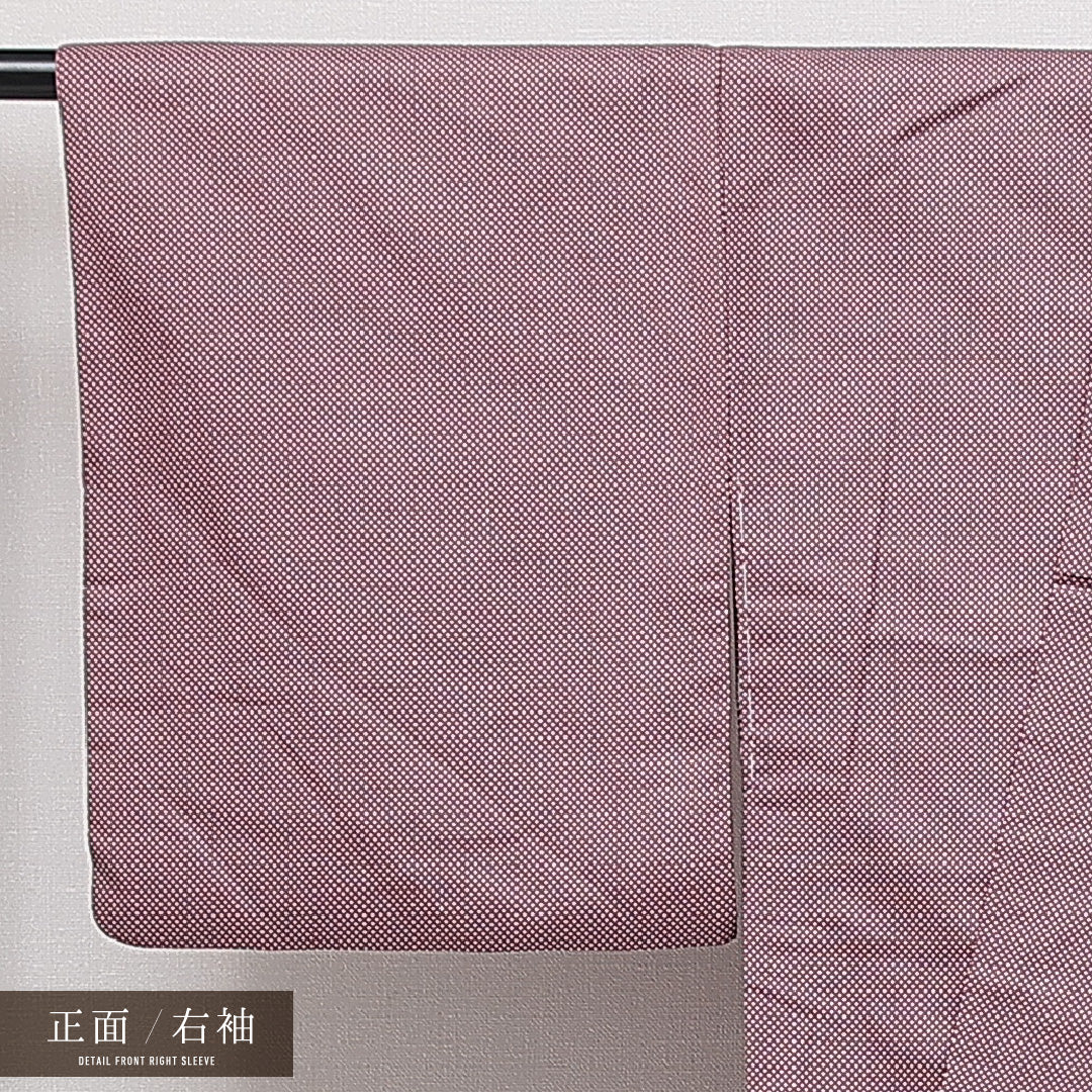 紬 袷 身丈157cm 裄丈62cm 正絹 Sランク カジュアル 広衿 Mサイズ 蚊絣 紫系 RP 1223-15020