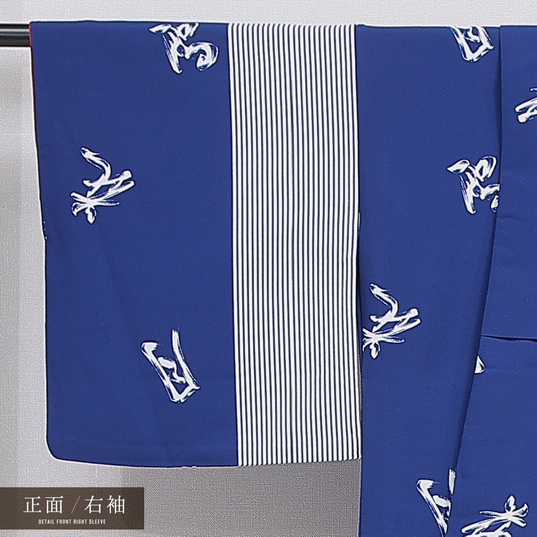 小紋 洗える着物 胴抜き 身丈165cm 裄丈68cm ポリエステル Dランク XLサイズ 広衿 インフォーマル 文字 縞 青系 1215-16322