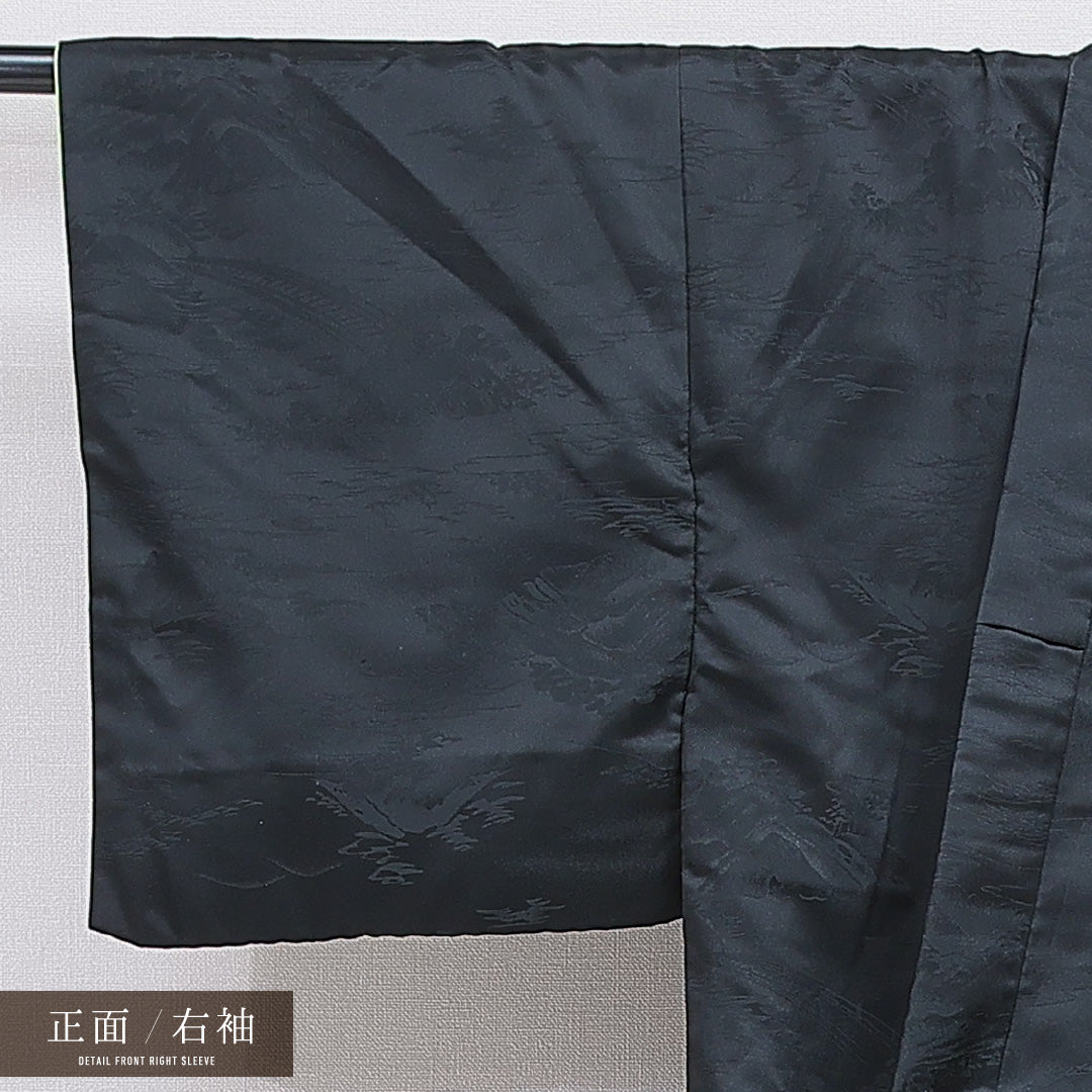 訪問着 洗える着物 袷 身丈164cm 裄丈63cm ポリエステル Sランク Lサイズ バチ衿 セミフォーマル 孔雀 金駒刺繍 黒系 1212-16287