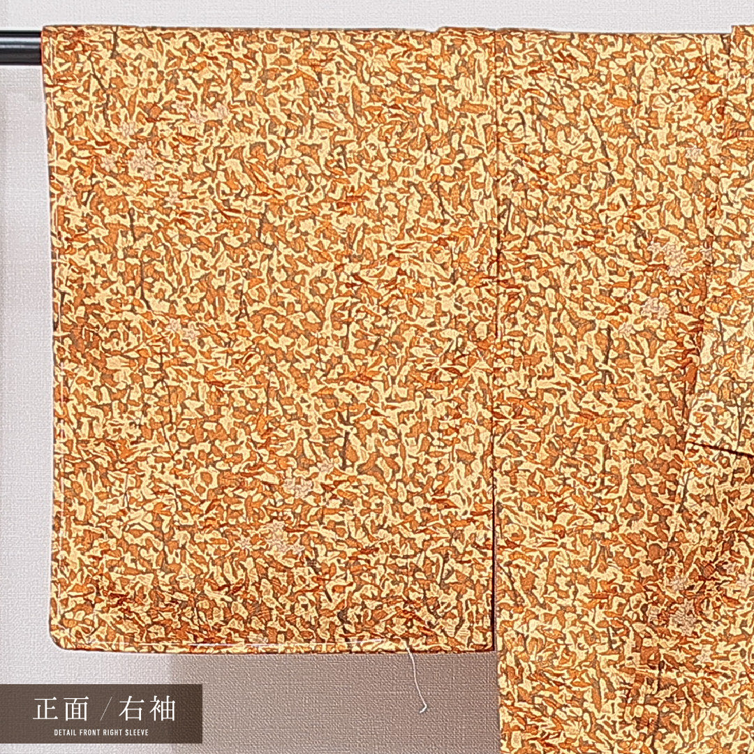 洗える着物 小紋 袷 身丈164cm 裄丈62cm ポリエステル Sランク インフォーマル 広衿 Lサイズ 創作柄 茶系 RP 1221-15821