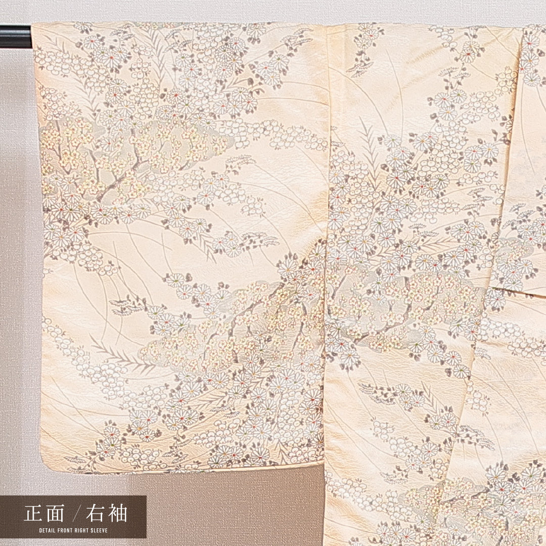 洗える着物 小紋 袷 身丈151cm 裄丈63cm ポリエステル Sランク 紋意匠 (芝草) インフォーマル 広衿 Sサイズ 菊 クリーム系 RP 1221-16026