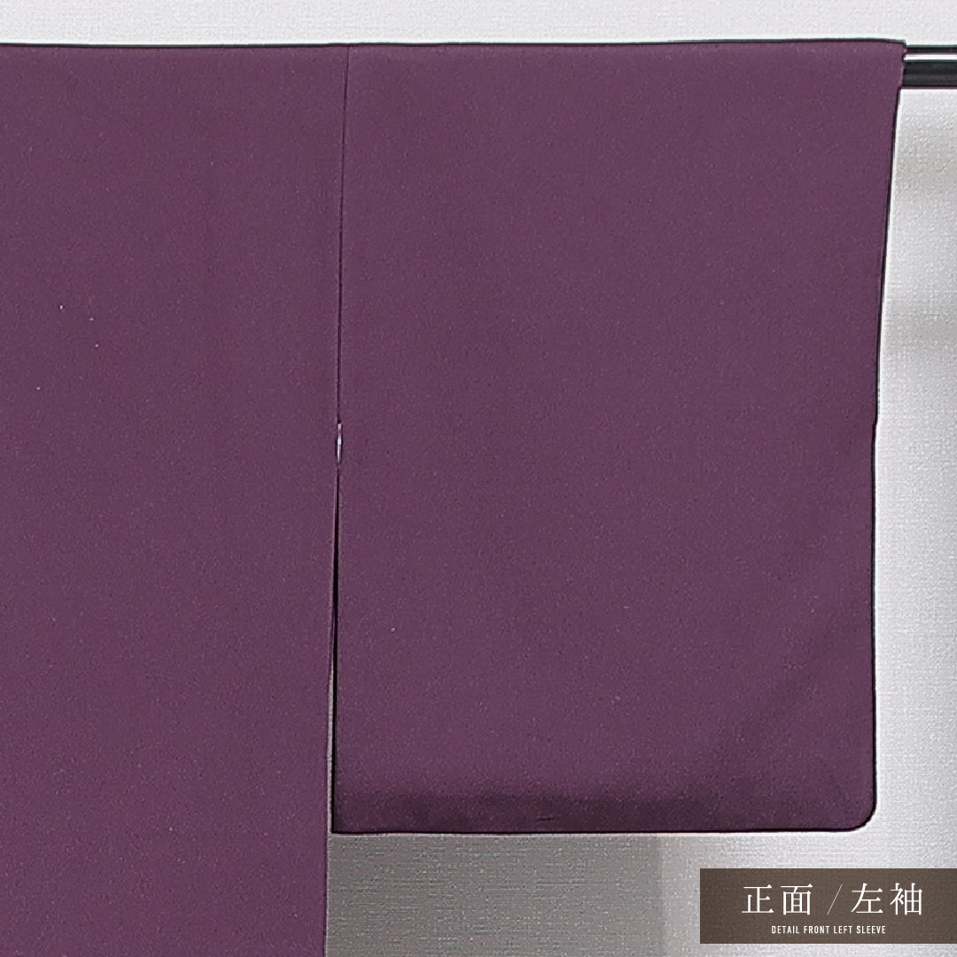 色無地 袷 身丈152cm 裄丈61cm 正絹 Bランク 一つ紋 セミフォーマル 広衿 Sサイズ 無地 紫系 RP 1219-15912