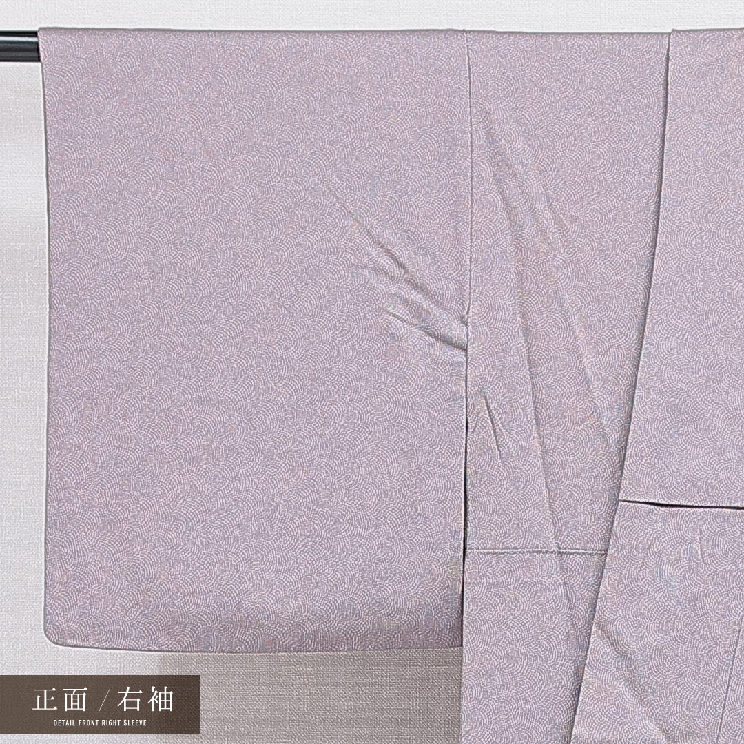 訪問着 袷 身丈160cm 裄丈65cm 正絹 Sランク セミフォーマル 広衿 Lサイズ ガード加工 鮫柄 松 古典的 個性的 紫系 RP 1217-15915