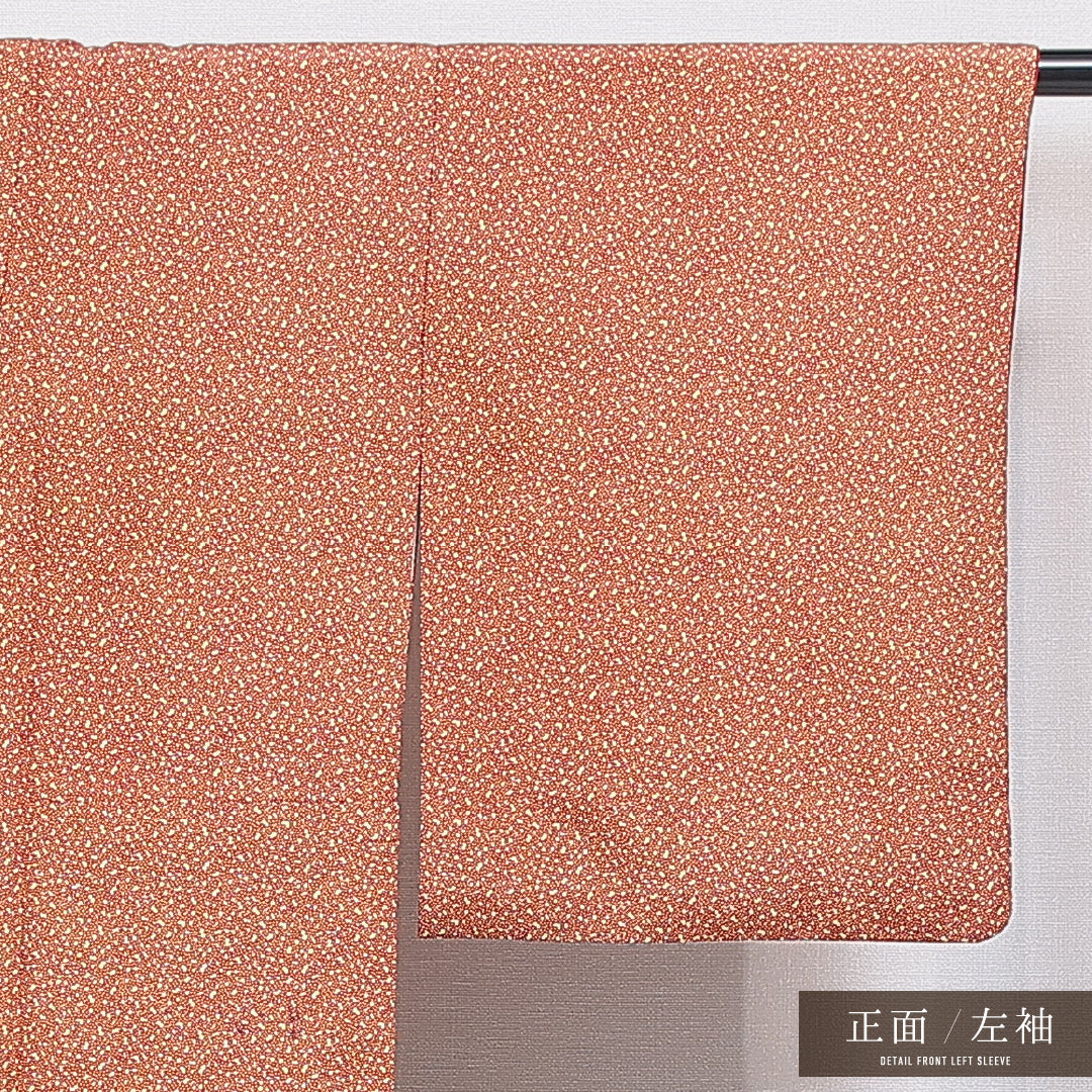 洗える着物 小紋 袷 身丈161cm 裄丈62cm ポリエステル Aランク インフォーマル 広衿 Lサイズ 抽象柄 赤系 RP 1221-16435
