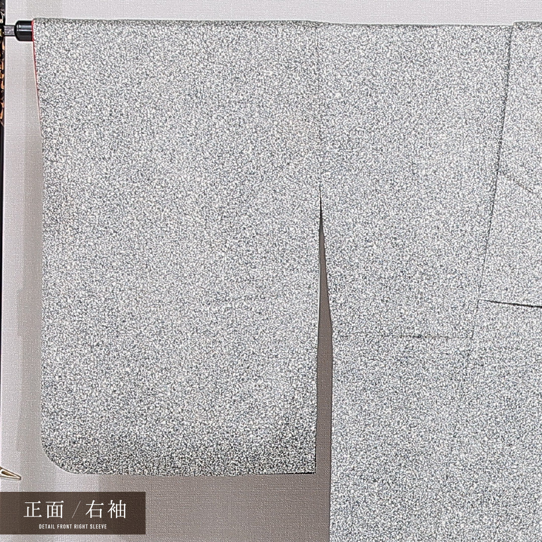 訪問着 身丈168cm 裄丈67cm 正絹 Sランク XLサイズ 広衿 セミフォーマル 梅 松 グレー系 1212-15492