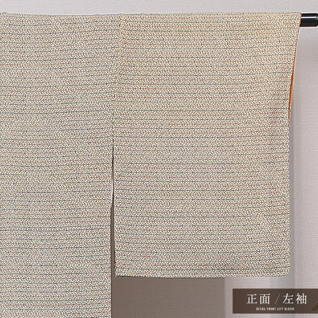 小紋 袷 身丈161cm 裄丈64cm 正絹 Sランク インフォーマル 広衿 Lサイズ 亀甲 多色系 RP 1221-15891