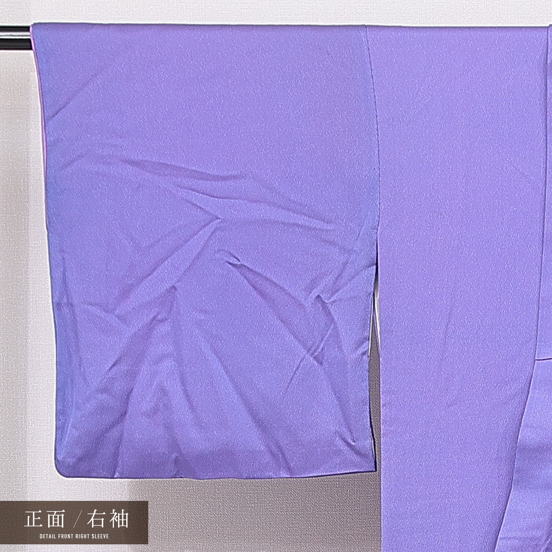 訪問着 袷 身丈168cm 裄丈66cm 正絹 Bランク セミフォーマル 広衿 XLサイズ 牡丹 紫系 RP 1217-15086