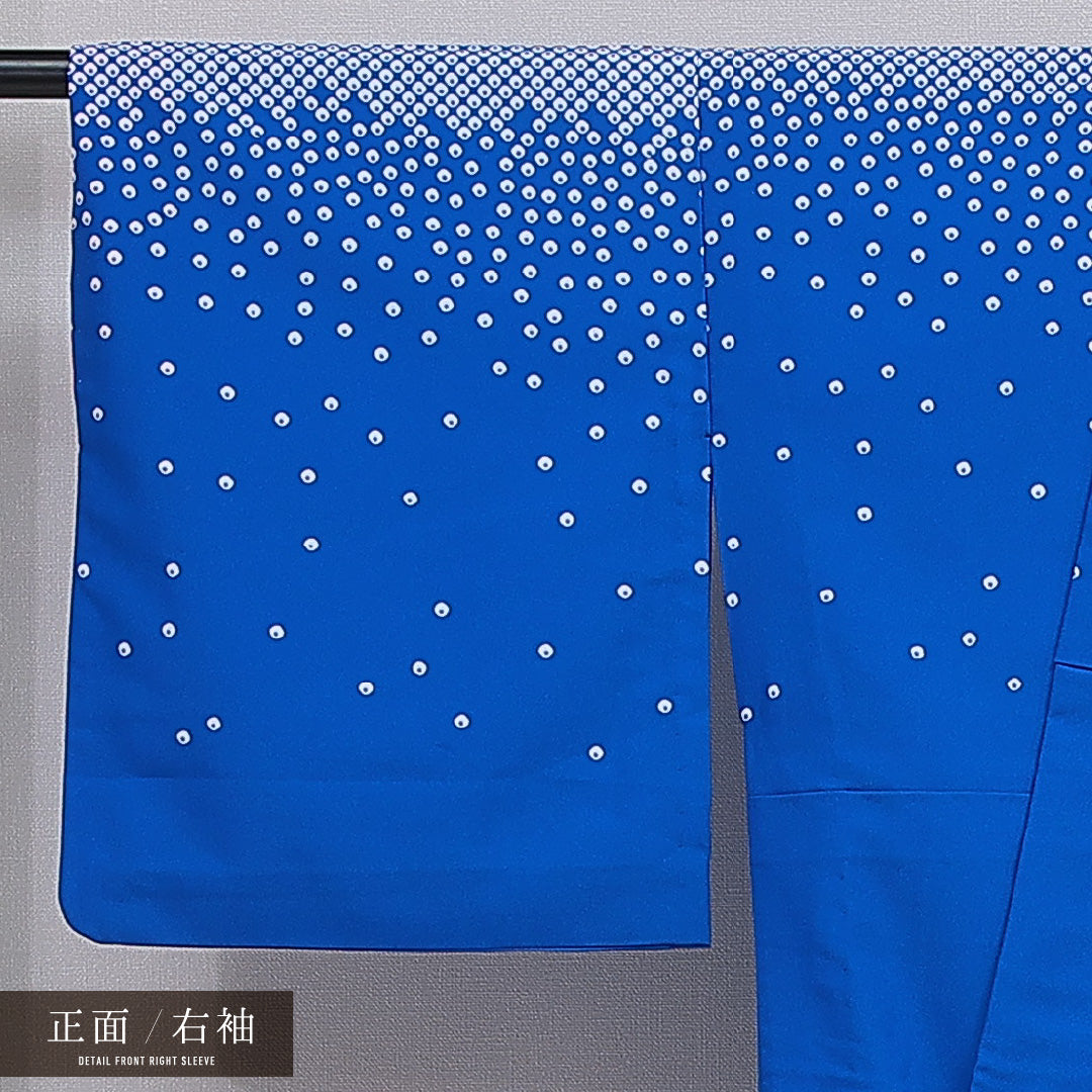 付下げ 洗える着物 胴抜き 身丈160cm 裄丈66cm ポリエステル Aランク Lサイズ バチ衿 インフォーマル 鹿の子 創作柄 青系 1261-16356