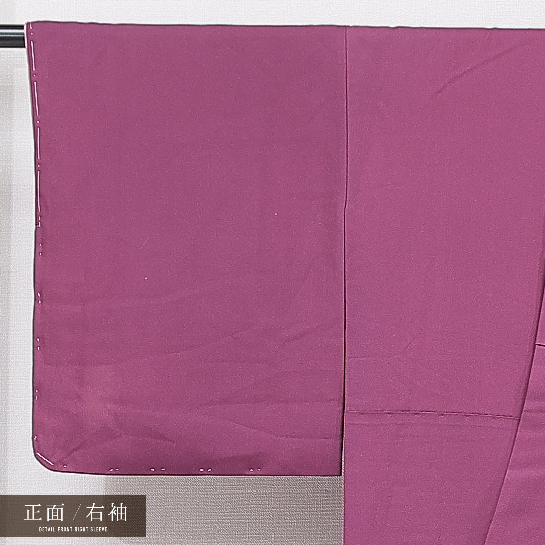 訪問着 袷 身丈161cm 裄丈66cm 正絹 Cランク セミフォーマル 広衿 Lサイズ 唐子 紫系 HP 1217-15554