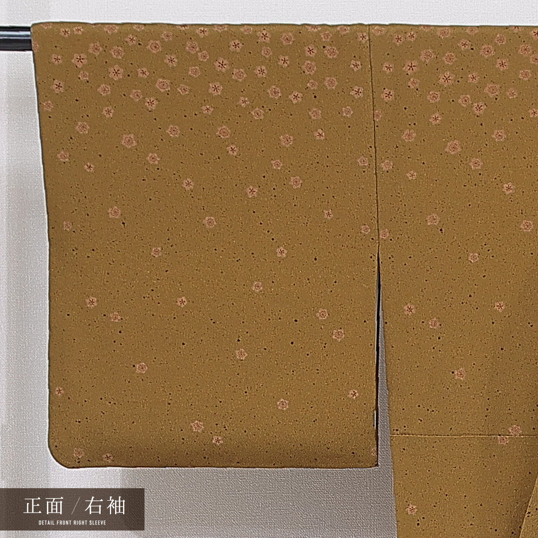 付下げ 洗える着物 袷 身丈165cm 裄丈66cm ポリエステル Sランク XLサイズ 広衿 インフォーマル 梅 笹 茶系 1261-15677