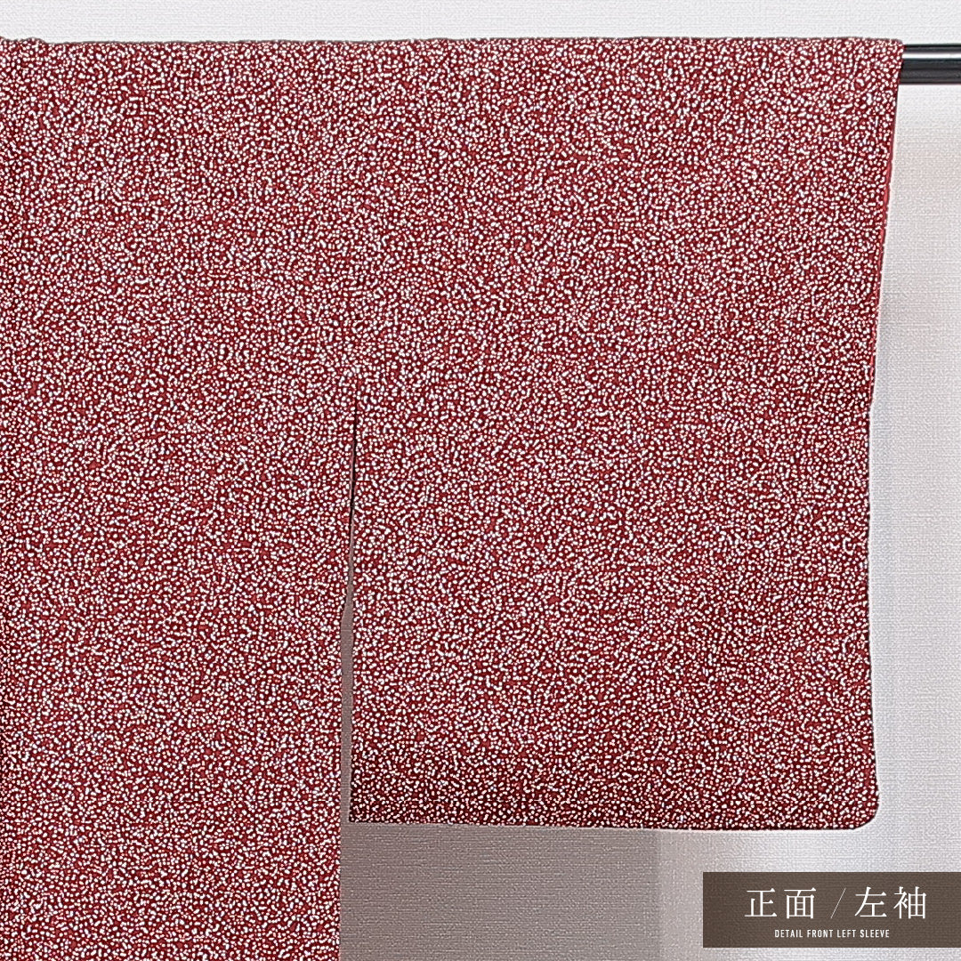 洗える着物 付下げ 袷 身丈164cm 裄丈64cm ポリエステル Sランク インフォーマル 広衿 Lサイズ 青海波 赤系 RP 1218-16247