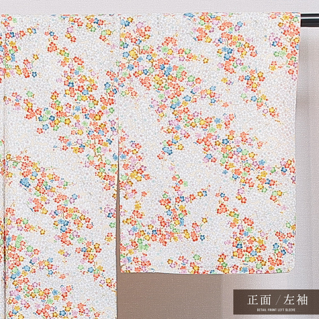 小紋 袷 身丈164cm 裄丈64cm ポリエステル 洗える着物 Sランク インフォーマル 広衿 Lサイズ 梅 古典的 可愛らしい クリーム系 RP 1221-16366