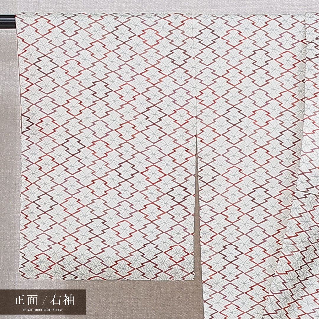 洗える着物 小紋 袷 身丈162cm 裄丈64cm ポリエステル Bランク インフォーマル 広衿 Lサイズ 七宝 松皮菱 白系 HP 1221-16113