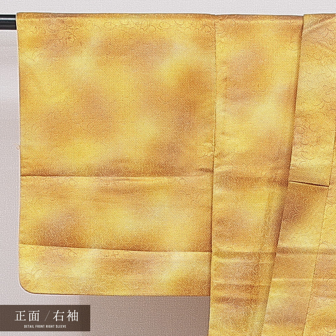 洗える着物 小紋 袷 身丈157cm 裄丈65cm ポリエステル Aランク インフォーマル バチ衿 Mサイズ 創作柄 金系 RP 1221-16386