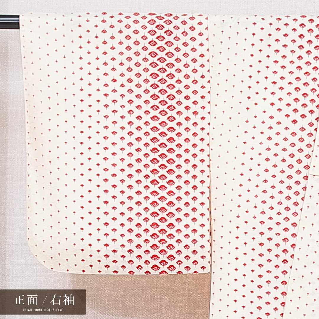 洗える着物 小紋 袷 身丈155cm 裄丈62cm ポリエステル Sランク インフォーマル 広衿 Mサイズ 創作柄 クリーム系 RP 1221-15784