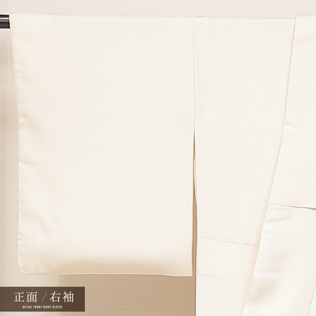 訪問着 袷 身丈158cm 裄丈64cm 正絹 Cランク Mサイズ 広衿 セミフォーマル 流水 菊 クリーム系 1212-16911