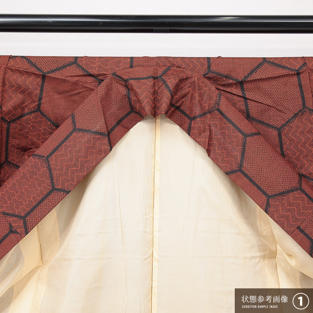 大島紬 袷 身丈160cm 裄丈62cm 正絹 Aランク インフォーマル 広衿 Lサイズ 亀甲 朱系 RP 1223-15029