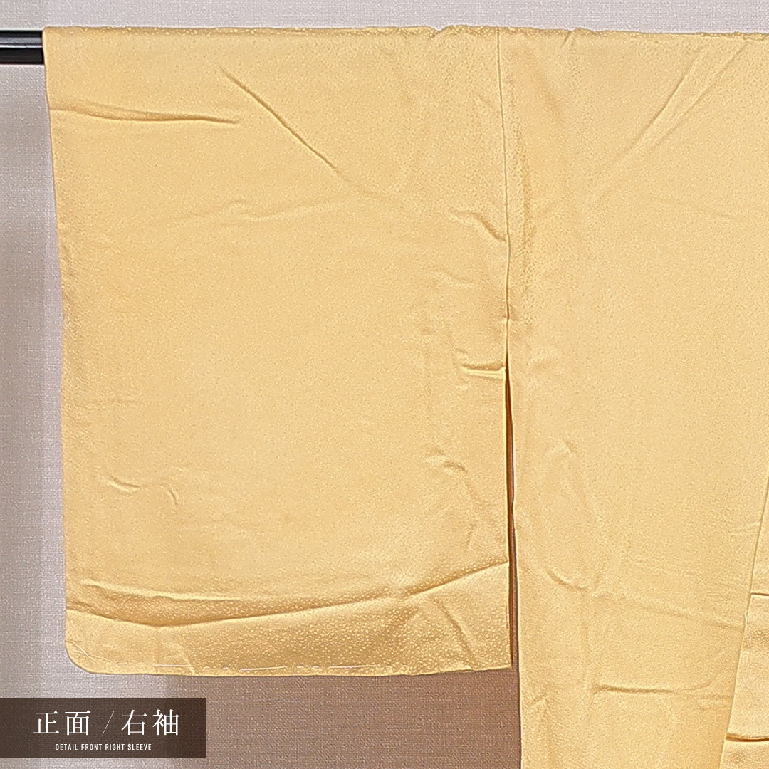 訪問着 袷 身丈173cm 裄丈65cm 正絹 Cランク 一つ紋 (五三桐) セミフォーマル 広衿 2XLサイズ 梅 黄系 HP 1217-15752