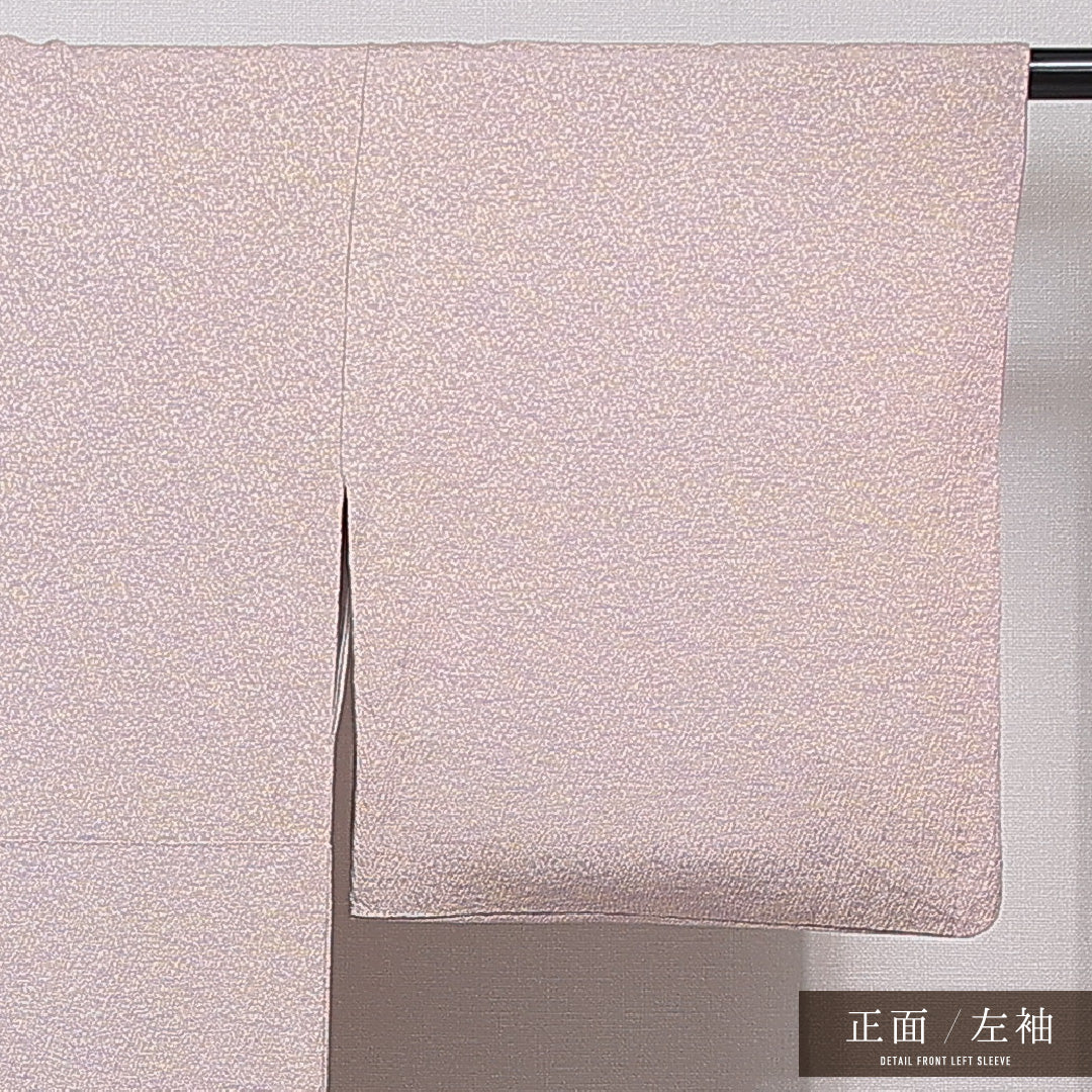 小紋 袷 身丈147cm 裄丈62cm 正絹 Sランク インフォーマル 広衿 XSサイズ 落款 無地 グレー系 RP 1221-15484